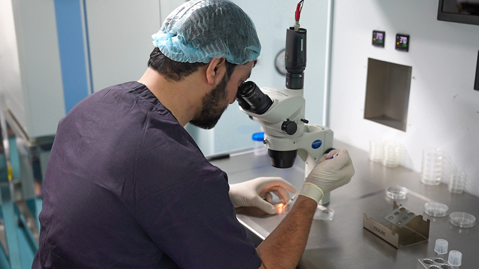 IVF Procedure at Birat IVF